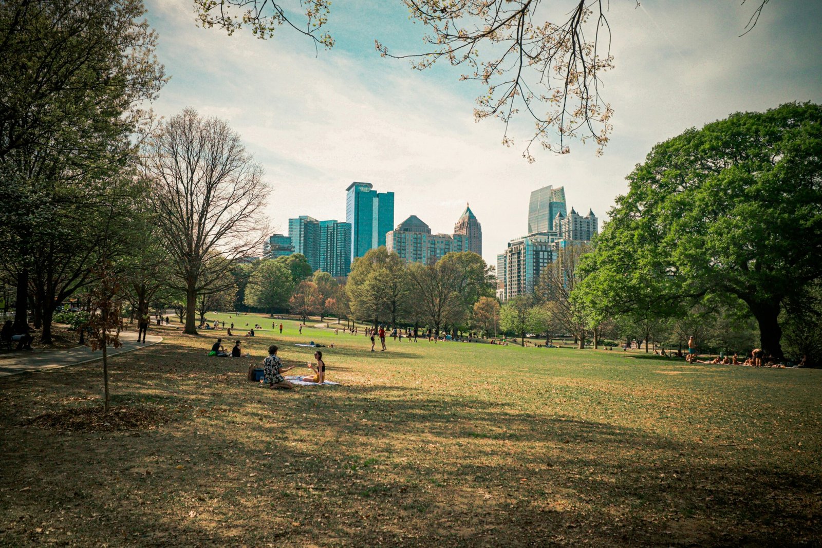 Piedmont Park lawn in Atlanta